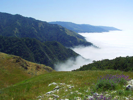 stone ridge in Big Sur