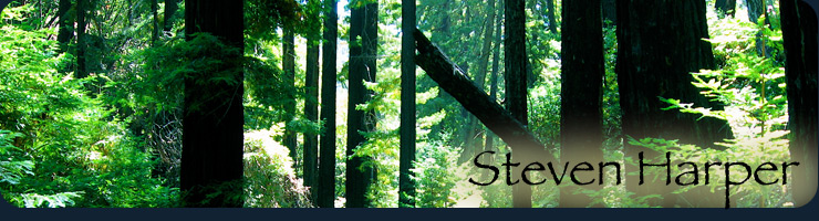 Steven Harper, image of Big Sur redwood forest