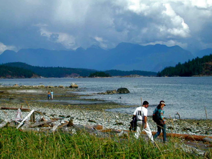 hollyhock beach walk